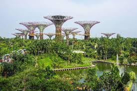 Places To Visit Near Gardens By The Bay
