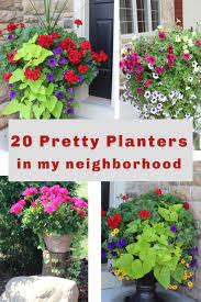 ideas from 20 planters from my