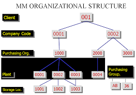 Sap Mm Organization Structure