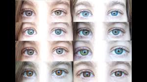 Expressions Color Contacts Color Chart Www