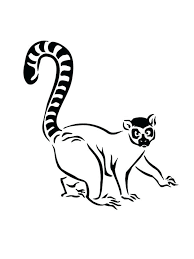 The name 'lemur' itself comes from the word 'lemures' which comes from roman mytology which means ghost or. Pin On Animal Coloring Pages