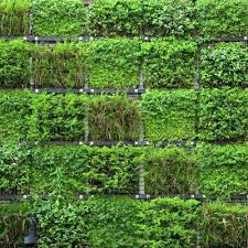 Outdoor Artificial Vertical Green Wall