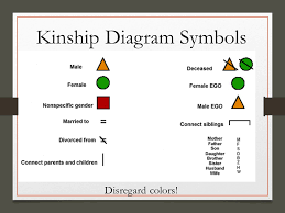 Kinship Diagrams Unit Learning Objectives Differentiate