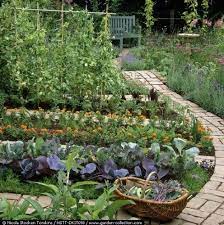 Edible Garden Raised Garden