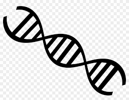 The resolution of this file is 512x512px and its file size is: Science Png Dna Strand Black And White Transparent Png 960x704 496894 Pngfind