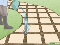 how to grow grass between pavers 12