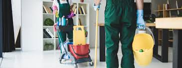 professional cleaning services south