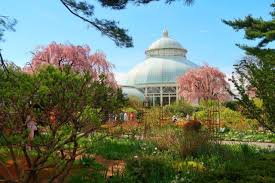 Spring At The New York Botanical Garden