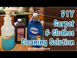 diy carpet stain remover diy clothing