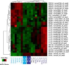 Comparative transcriptome analysis of the wild-type model apomict ...