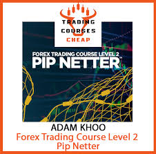 adam khoo forex trading course level