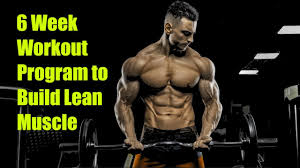 6 week workout program to build lean