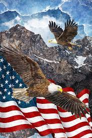 Patriotic Bald Eagle American Flag Silk