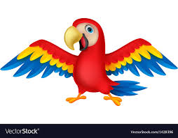 cute parrot bird cartoon royalty free