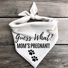 pregnancy announcements for husband 54