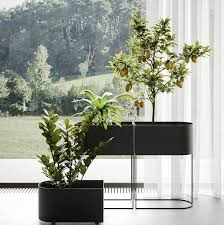 wink designer indoor plant pots