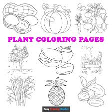 free printable plant coloring pages for