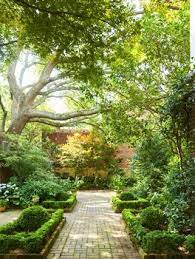 this charming charleston garden thrives