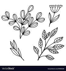 drawing simple flowers on a white