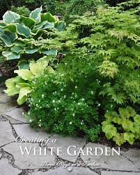 Creating A White Garden Part Shade