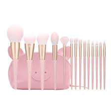 msq piggy pink brush set with cosmetic