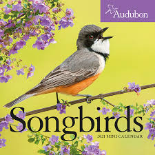 2021 yearly calendar (style 1). Thebyn 2021 Audubon Songbirds Mini Calendar The Backyard Naturalist