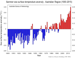 This Summers Sea Temperatures Were The Hottest On Record