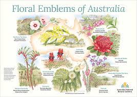fl emblems of australia dcceew
