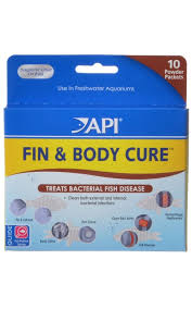 Api Fin And Body Cure