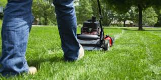 Why I Really Really Really Love Mowing The Lawn Yeah You
