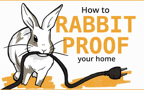 the complete guide to bunny proof your home
