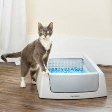 scoopfree complete self cleaning litter box no scooping required unbeatable odor control