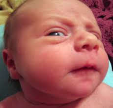 Image result for baby death stare