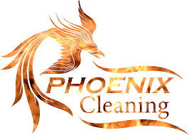 carpetuch more phoenix cleaning
