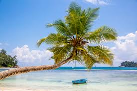 Seychellerna är en ögrupp nordost om madagaskar och 160 mil utanför östafrikas kust. Seychellerna Basta Tipsen Pa Mahe Matsjonssonfoto