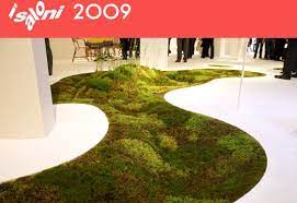 moss carpet grows in the heart of your home