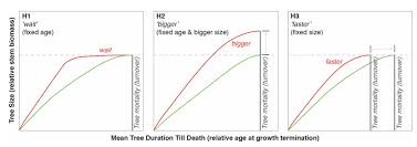 Tree Growth And Age Hypotheses Carbon Brief