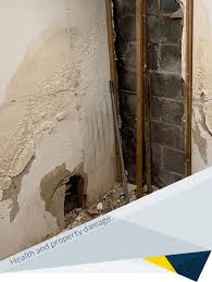 Can Basement Mold Make You Sick Fdp