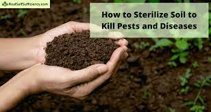 How To Sterilize Soil To Kill Pests And