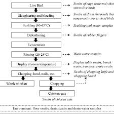 Flow Diagram Of Poultry Processing In Wet Markets With