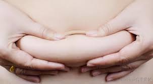 once you reach the age of around 14 years old fat cells also known as adipocytes can no