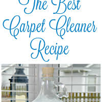 the best homemade carpet cleaner recipe