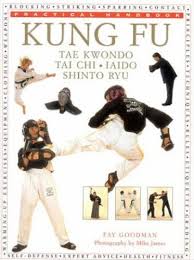 kung fu book