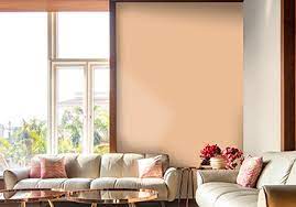 wall colour combinations for living