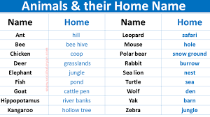 a z s and their homes name
