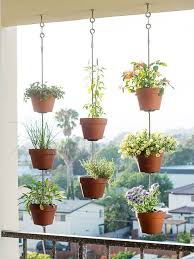 Diy orchid kokedama floral design: Pinterest Plant Hanging Ideas Novocom Top