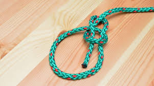 Image result for bowline knot