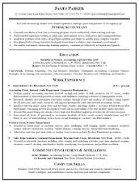 Accountant Resume Sample