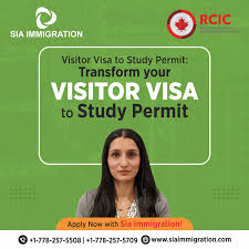 visitor visa to study permit transform