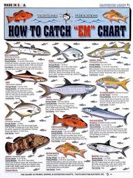 Fishermans Saltwater Fish Chart 1 Import It All